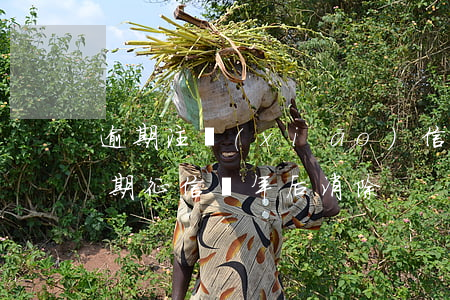 逾期注銷(xiāo)信用卡征信(信用卡逾期征信幾年后消除)