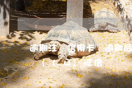 逾期 注銷信用卡嗎 逾期后注銷信用卡, 如何恢復(fù)征信