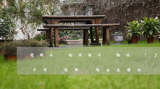 逾期注銷的信用卡還能恢復(fù)嗎（信用卡有過逾期還清后直接注銷嗎）