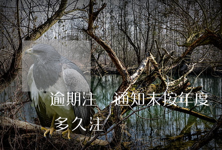 逾期注銷通知 未按年度報(bào)告逾期多久注銷