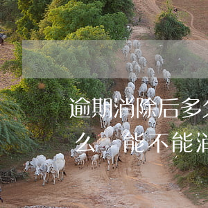 逾期消除后多久可以辦信用卡（信用卡逾期怎么辦能不能消除）