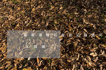 逾期消除后還款記錄(把欠款還了逾期記錄多久消除)