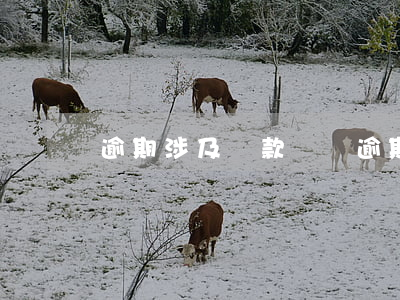 逾期涉及貸款詐騙(逾期涉及貸款詐騙怎么辦)