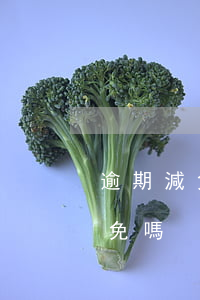 逾期減免還款有什么影響(欠款逾期利息能減免嗎)
