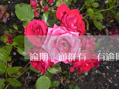 逾期溝通群(有沒有逾期的群)