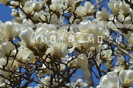 逾期滾不掉(逾期滾不掉)