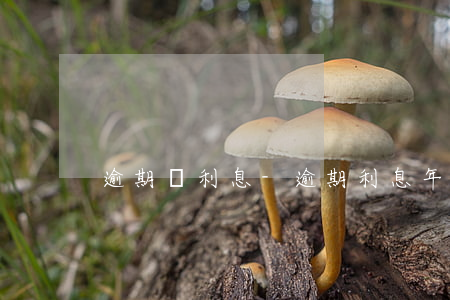 逾期漲利息-逾期利息年利率