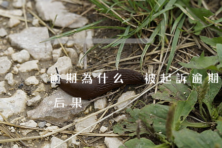 逾期為什么沒被起訴(逾期被起訴不去有什么后果)
