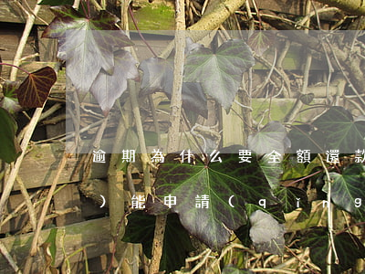 逾期為什么要全額還款(房貸逾期過(guò)能申請(qǐng)全額還款嗎)