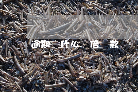 逾期為什么雙倍還款
