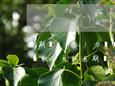逾期無(wú)力償還如何協(xié)商還款-欠款逾期無(wú)力償還怎么辦