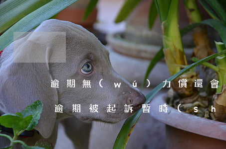 逾期無(wú)力償還會(huì)起訴嗎(逾期被起訴,暫時(shí)沒(méi)還款能力)