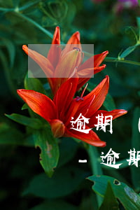 逾期無(wú)法支付等等利息交增值稅嗎-逾期無(wú)法支付等等利息交增值稅嗎