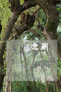 逾期無力還款最佳處理方法