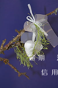逾期無法辦理信用卡嗎(信用卡逾期還能不能辦信用卡)