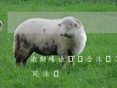 逾期爆通訊錄合法嗎怎么起訴(逾期爆通訊錄犯法嗎)