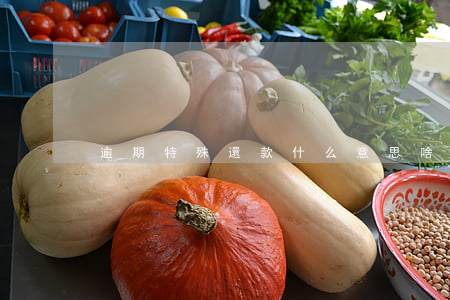 逾期特殊還款什么意思(啥叫逾期還款)