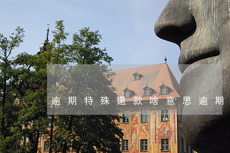 逾期特殊還款啥意思(逾期款項是什么意思)