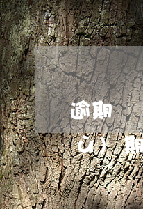 逾期狀態(tài)和預(yù)期(預(yù)期與逾期)