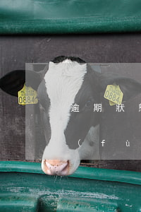 逾期狀態(tài)還了多久以后可以恢復(fù)-逾期狀態(tài)還了多久以后可以恢復(fù)征信