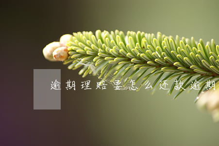 逾期理赔要怎么还款(逾期赔偿一般多少)