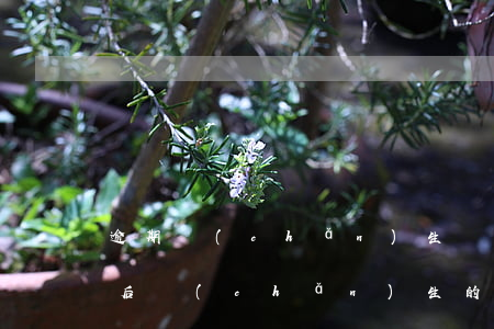 逾期產(chǎn)生罰息該怎么還(逾期之后產(chǎn)生的罰息合法嗎)