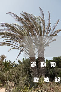 逾期用戶因違約金起訴銀行能贏嗎-銀行欠款被起訴后,違約金一直累計