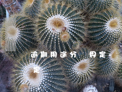 逾期用途分類界定-嚴(yán)重逾期的定義