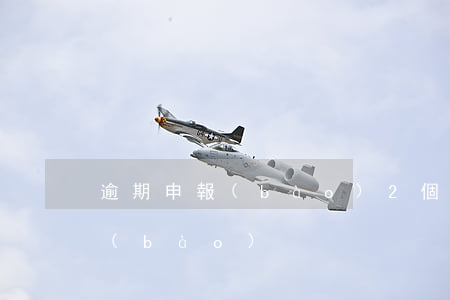 逾期申報(bào)2個月(第二次逾期申報(bào))