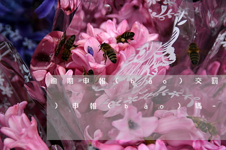 逾期申報(bào)交罰款后需要補(bǔ)申報(bào)嗎-逾期申報(bào) 罰款