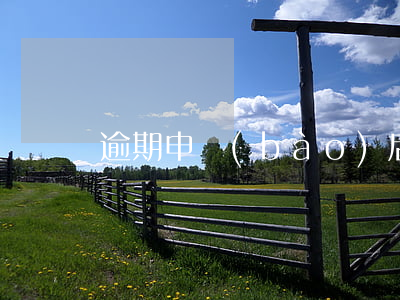 逾期申報(bào)后怎么辦
