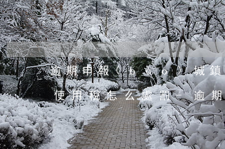 逾期申報(bào)城鎮(zhèn)土地使用稅怎么處罰-逾期申報(bào)城鎮(zhèn)土地使用稅怎么處罰的