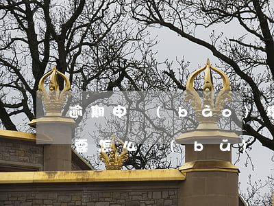 逾期申報(bào)增值稅2個(gè)月要怎么補(bǔ)報(bào)-逾期申報(bào)增值稅2個(gè)月要怎么補(bǔ)報(bào)呢