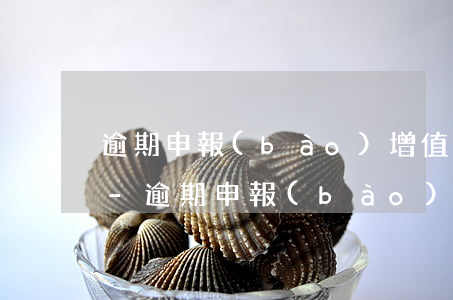 逾期申報(bào)增值稅的滯納金是多少-逾期申報(bào)增值稅的滯納金是多少錢(qián)