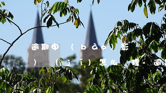 逾期申報(bào)影響納稅評(píng)級(jí)怎么處理-逾期申報(bào)影響納稅等級(jí)嗎