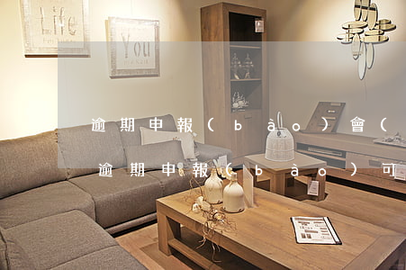 逾期申報(bào)會(huì)被注銷嗎(逾期申報(bào)可以作廢嗎)