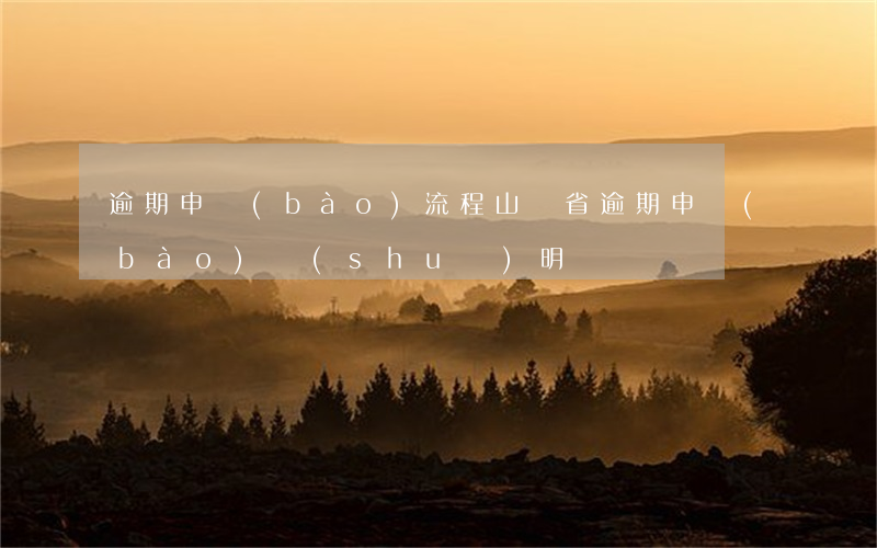 逾期申報(bào)流程山東省(逾期申報(bào)說(shuō)明)