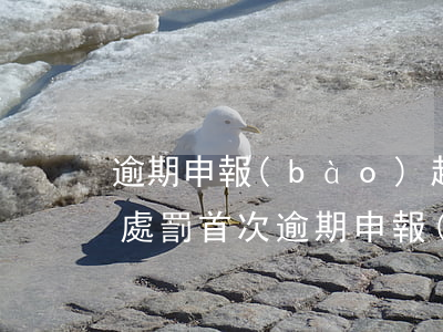 逾期申報(bào)超過(guò)幾年不處罰（首次逾期申報(bào)超過(guò)360天罰款嗎）