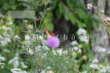 逾期申報(bào)顯示首次違法數(shù)據(jù)異常-逾期申報(bào)顯示首次違法數(shù)據(jù)異常怎么辦