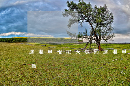 逾期申報按天處罰(逾期申報按天處罰有影響嗎)