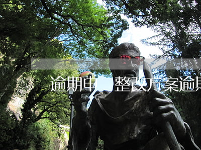 逾期申報整改方案 逾期申報如何處理