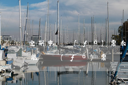 逾期申報發(fā)票未抄報怎么辦(未抄報能開發(fā)票嗎)