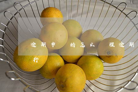 逾期申報的怎么處理(逾期申報怎么處理違法行為)