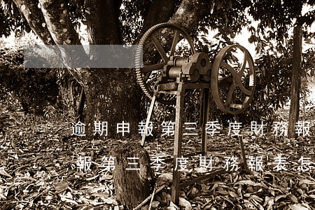 逾期申報第三季度財務報表怎么補-逾期申報第三季度財務報表怎么補報的