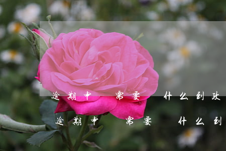 逾期申報需要帶什么到政務(wù)大廳-逾期申報需要帶什么到政務(wù)大廳辦理
