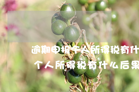 逾期申报个人所得税有什么后果-逾期申报个人所得税有什么后果吗
