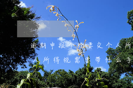 逾期申报个税要交个人所得税吗(逾期申报个人所得税需要带什么手续)