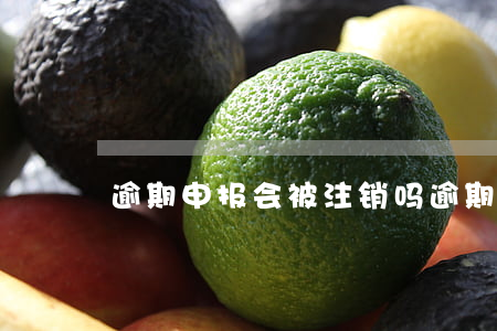 逾期申报会被注销吗(逾期申报可以作废吗)