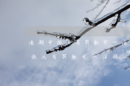 逾期申报没有罚款可以注销公司吗-逾期申报没有罚款可以注销公司吗怎么办