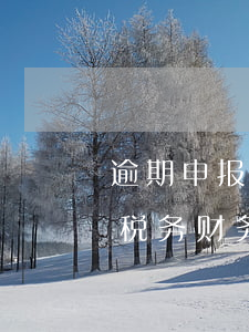 逾期申报税务财务报表有处罚吗-逾期申报税务财务报表有处罚吗怎么处理